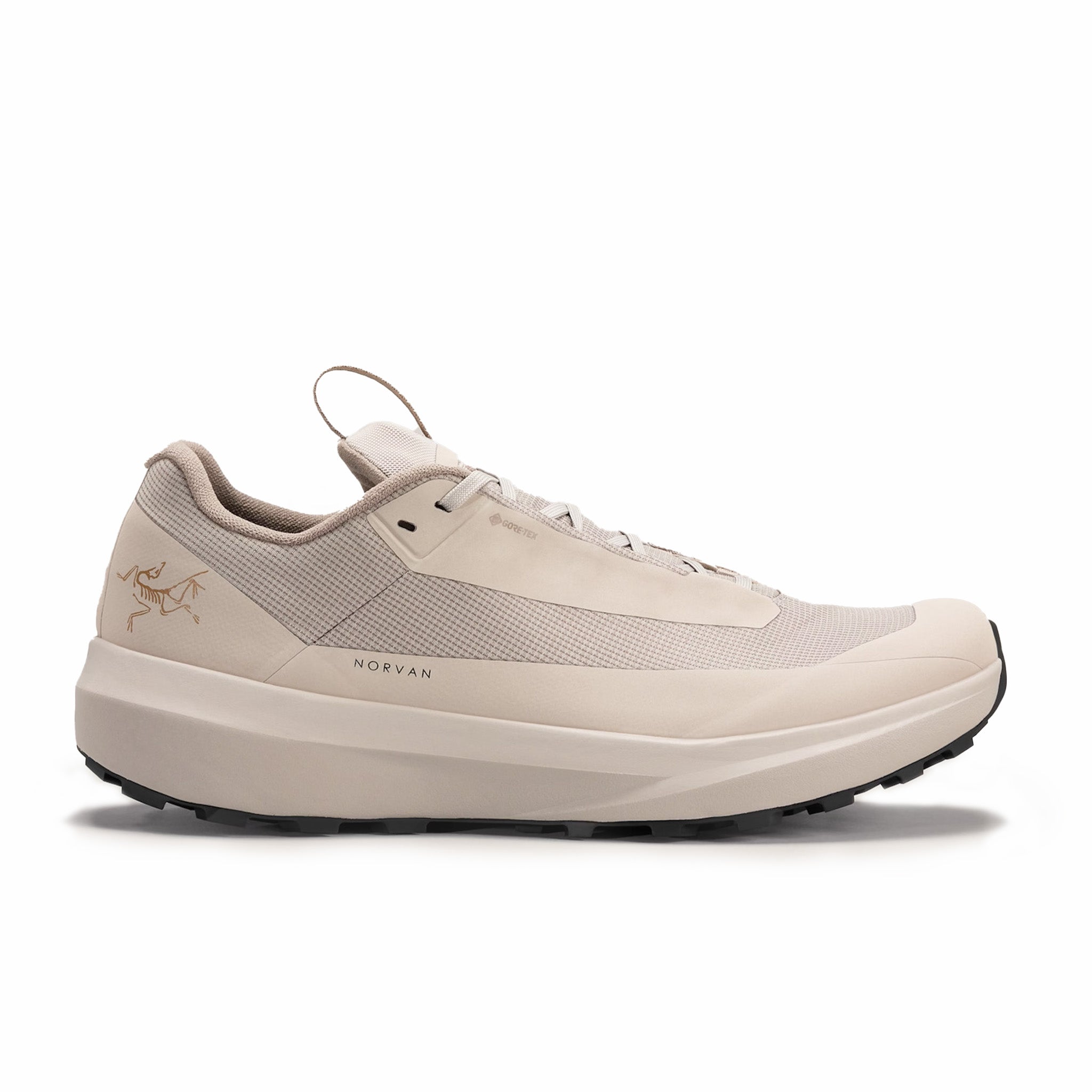 Arc'teryx Men's Gore-Tex Norvan LD 4 Shoe (Rune/Rune) – August