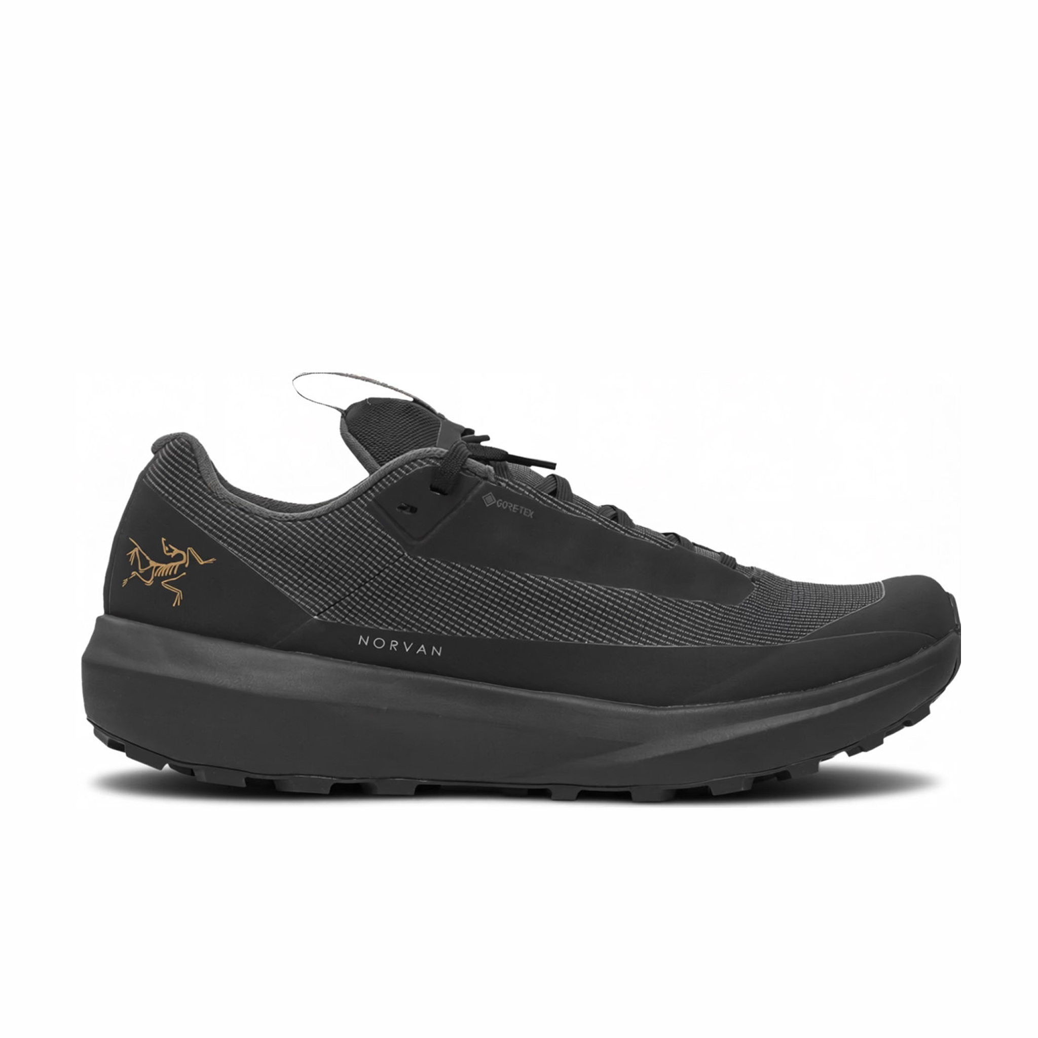 Arc'Teryx Norvan LD 4 GTX (Black/Black) – August