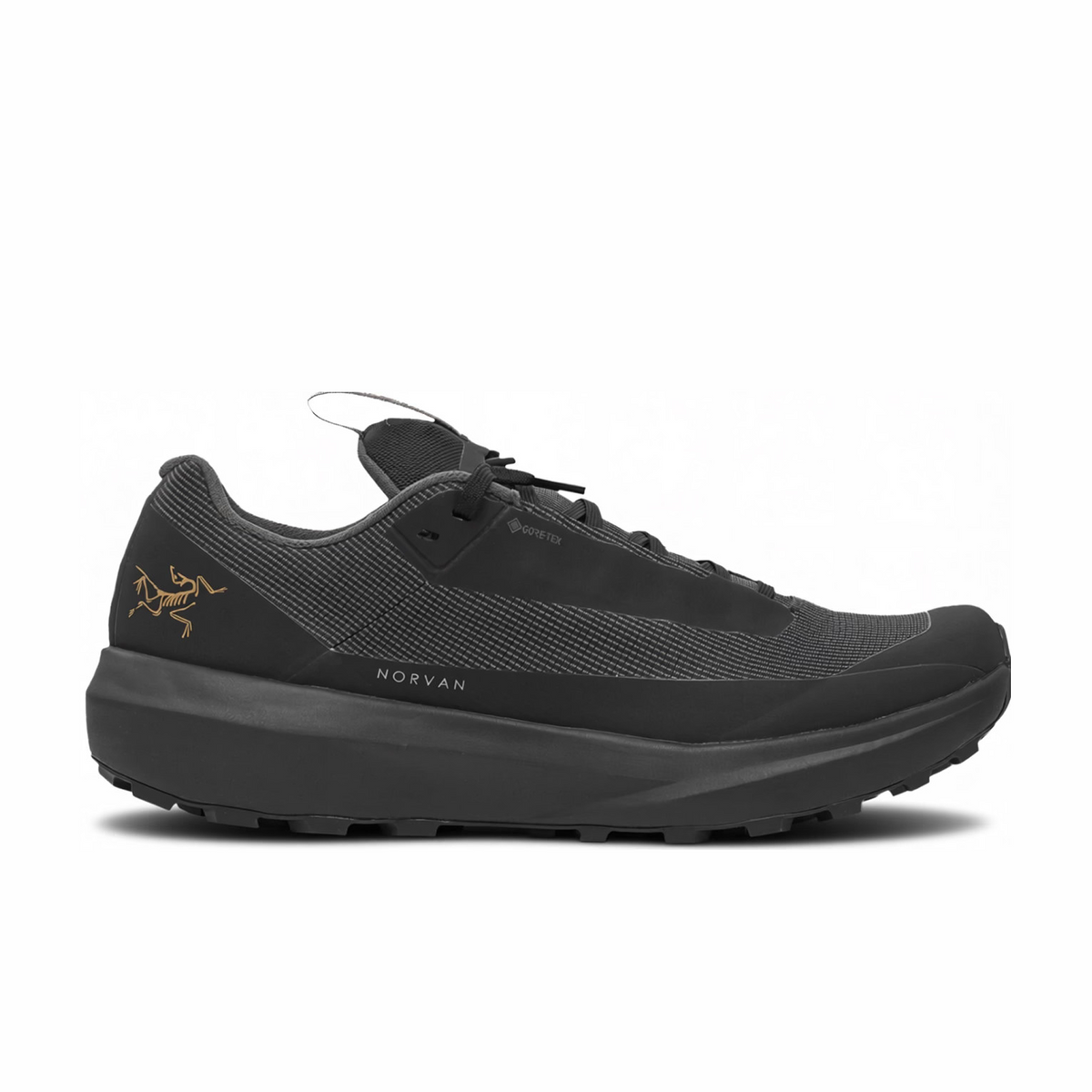 Arc'Teryx Norvan LD 4 GTX (Black/Black) – August