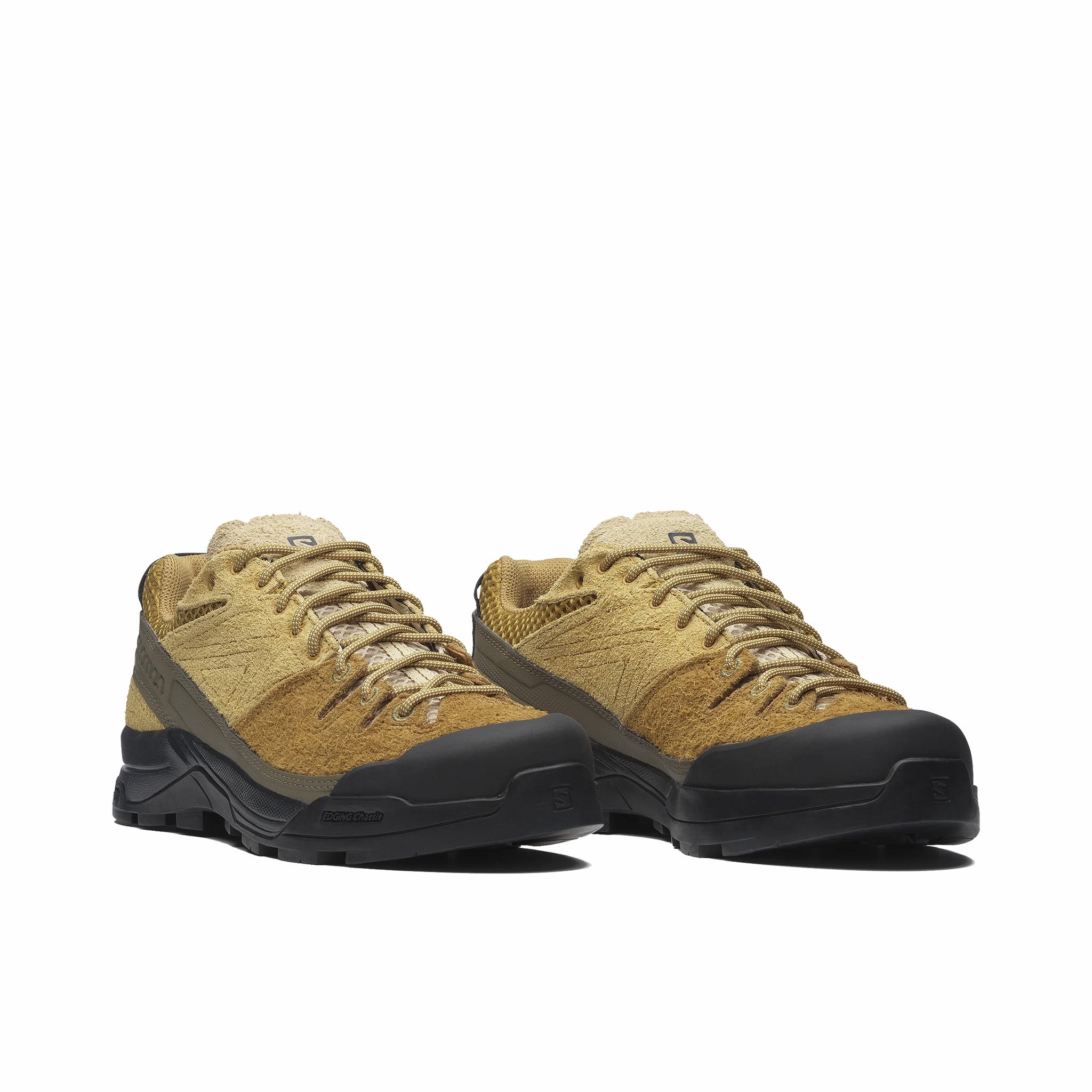 サヘラントロプス❗️ ZXI 15