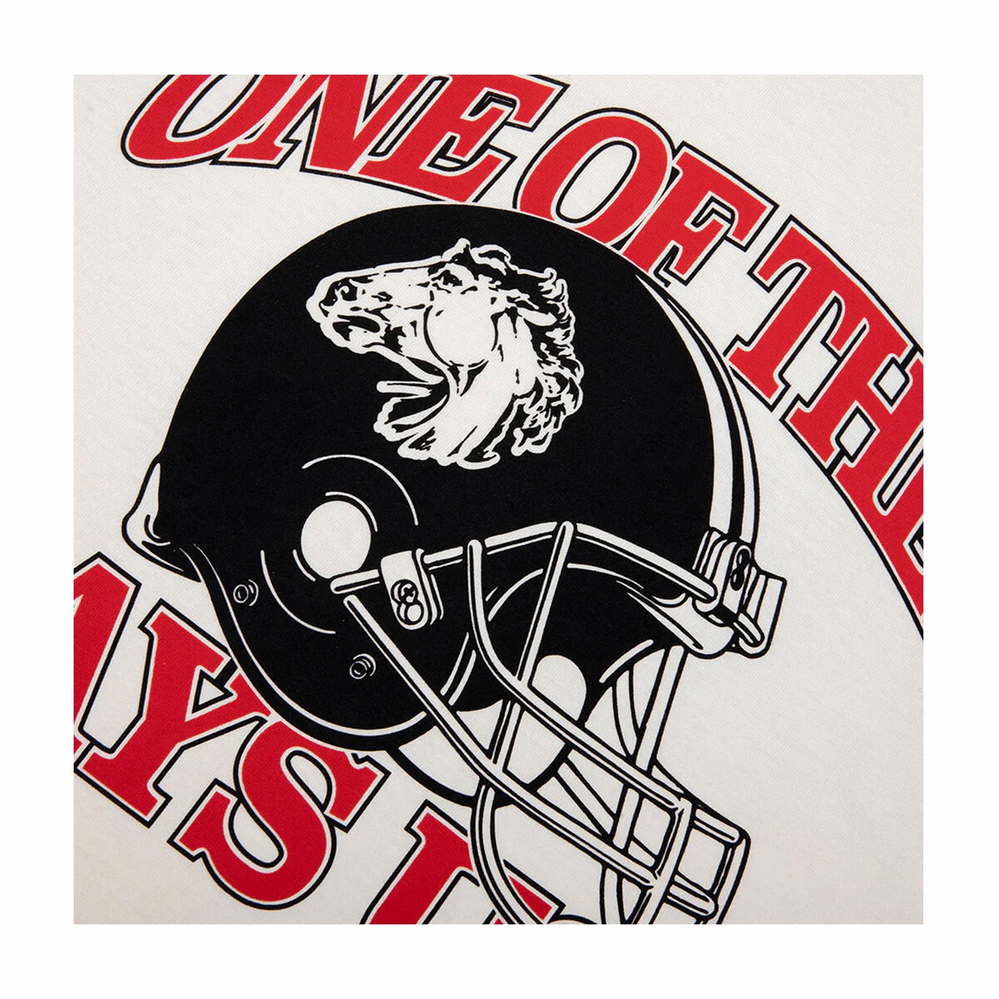 One Of These Days Days USA T-Shirt (Bone) - August Shop