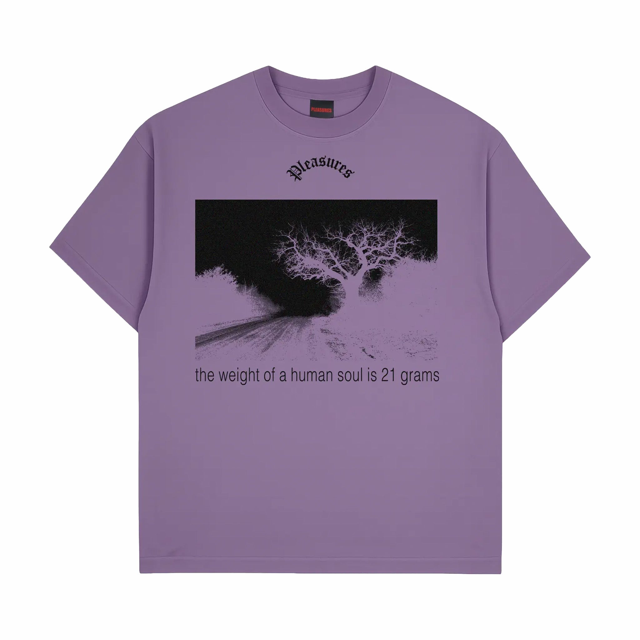Pleasures Soul T-Shirt (Plum)