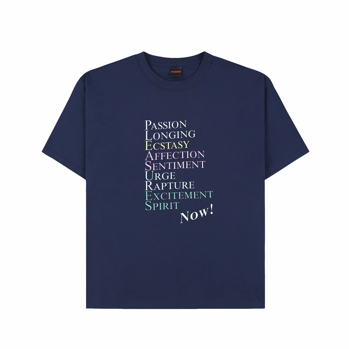 Pleasures Thesaurus T-Shirt (Navy)