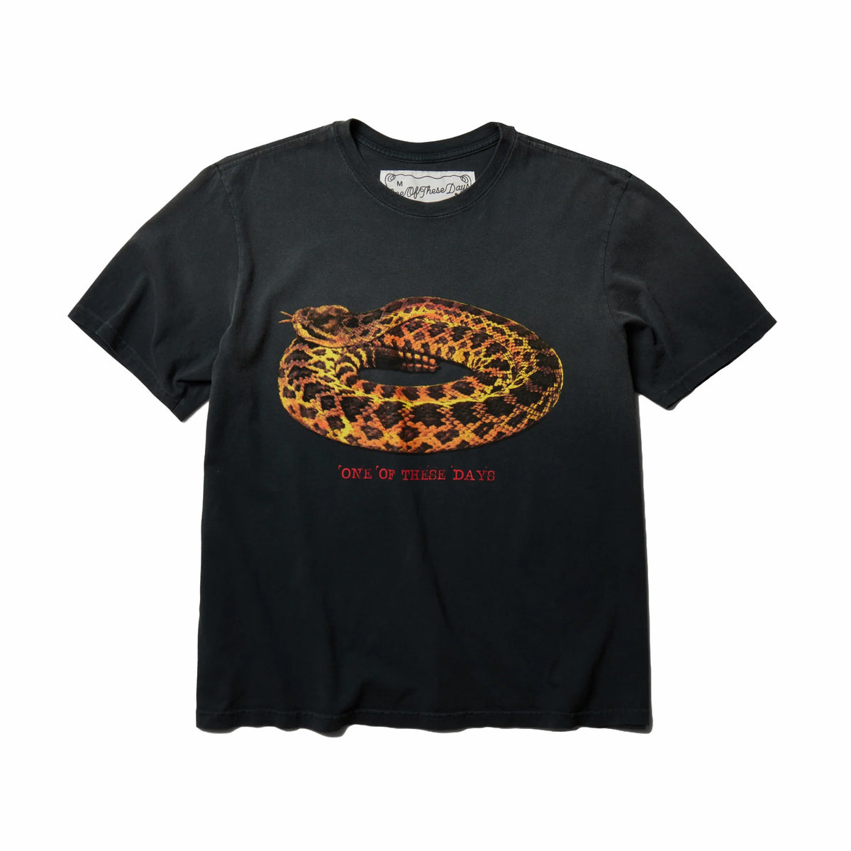 One Of These Days Rattler Tee (Sun Faded Black) - August Shop