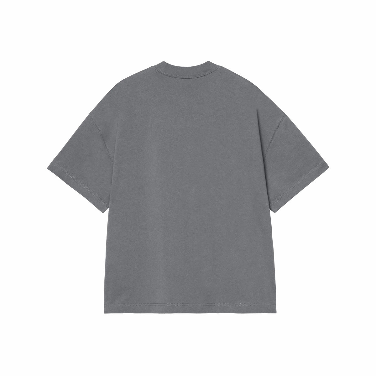 Carhartt WIP Pennon T-Shirt (Styx)