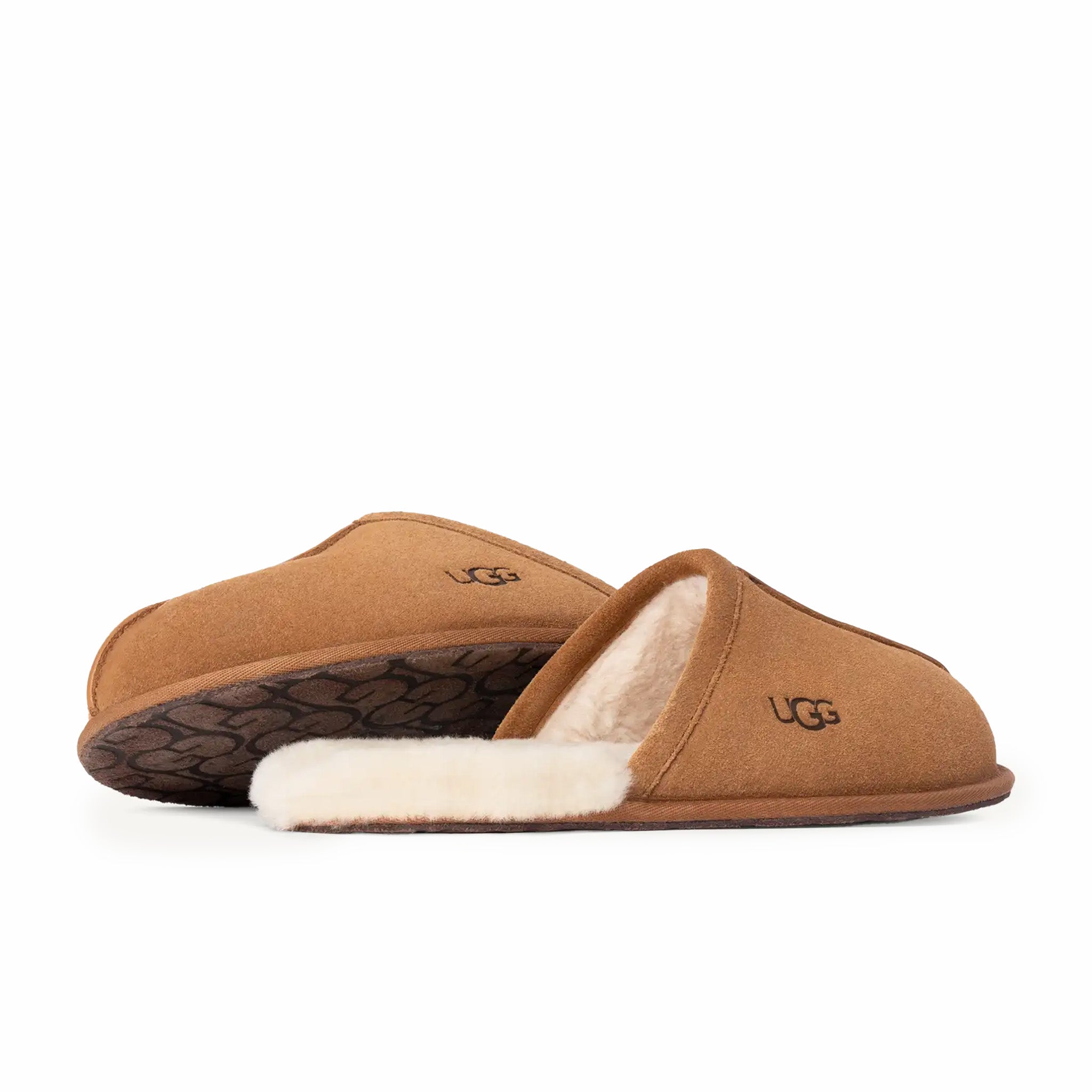 UGG Men's Scuff Slipper (Chestnut) - August Shop