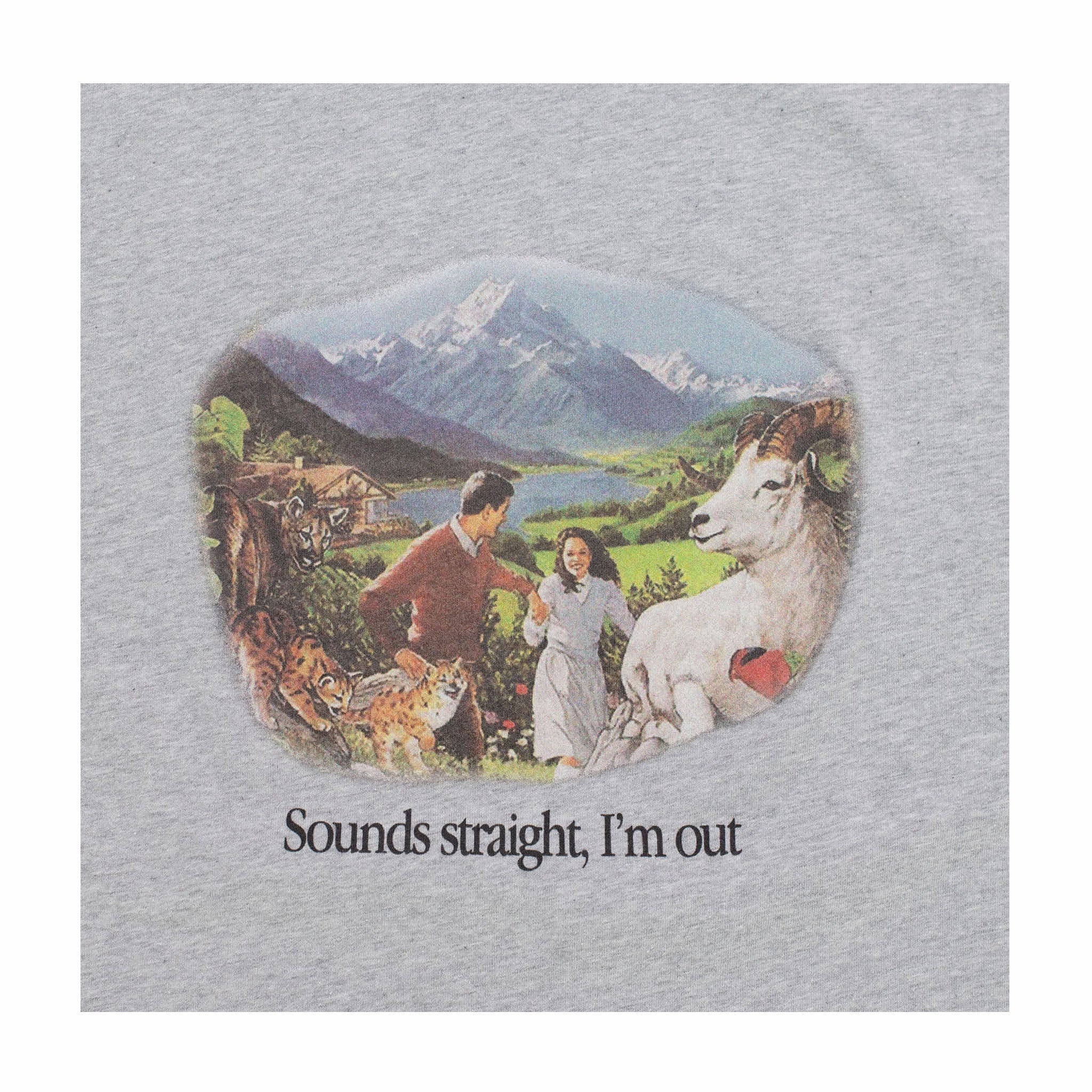 Carne Bollente Sounds Straight, I'm Out T-Shirt (Melange Grey) - August Shop