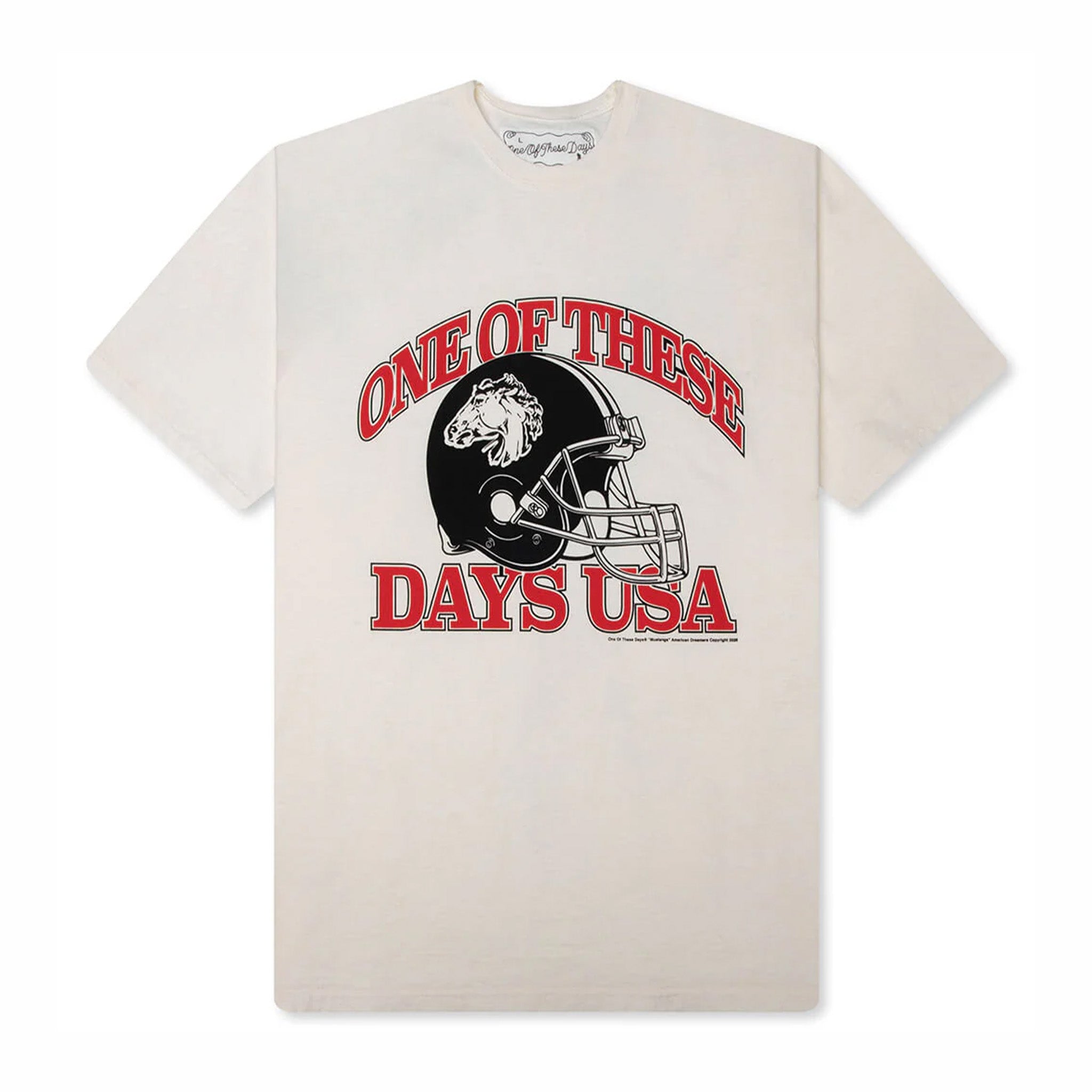 One Of These Days Days USA T-Shirt (Bone) - August Shop