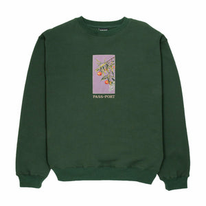 Pass~Port Quandong Sweater (Forest Green) - August Shop