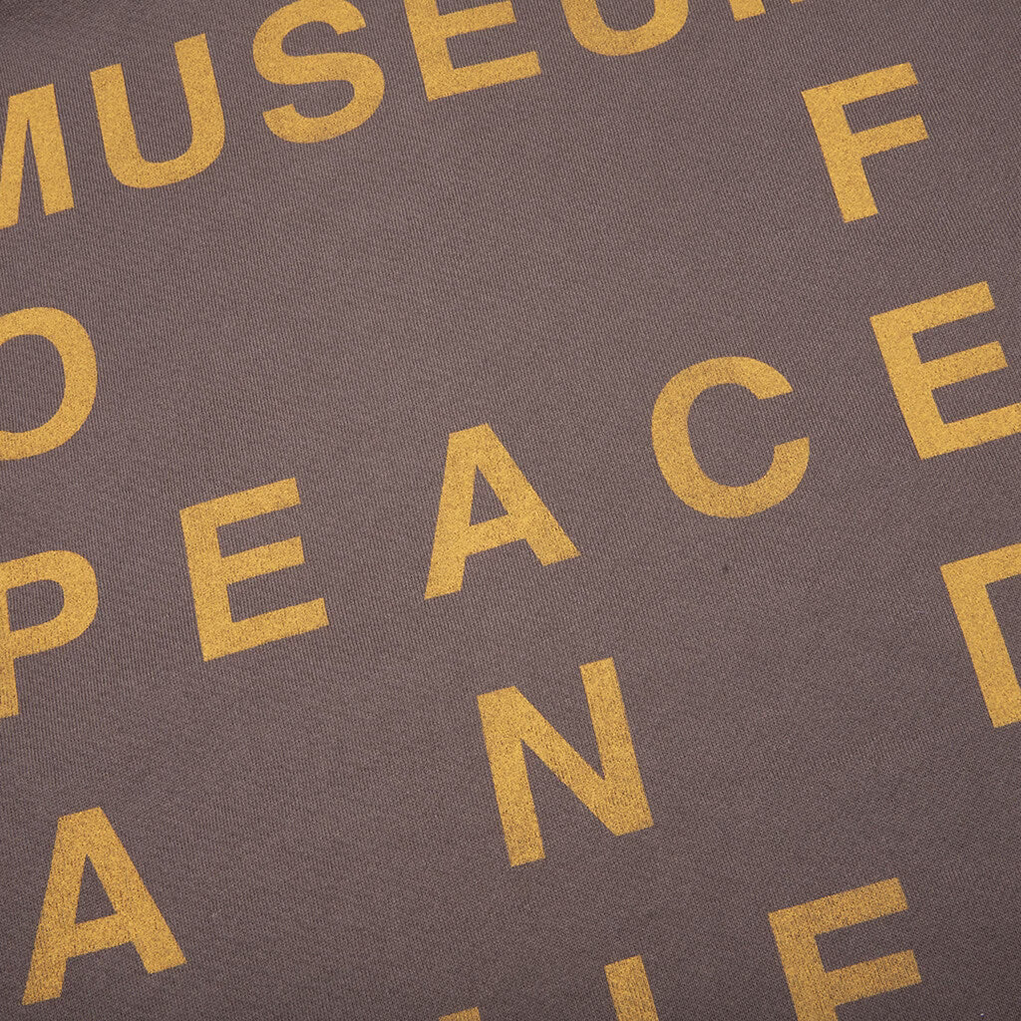 Museum of Peace &amp; Quiet Castelli Zip-Up Hoodie (Brown) - August Shop