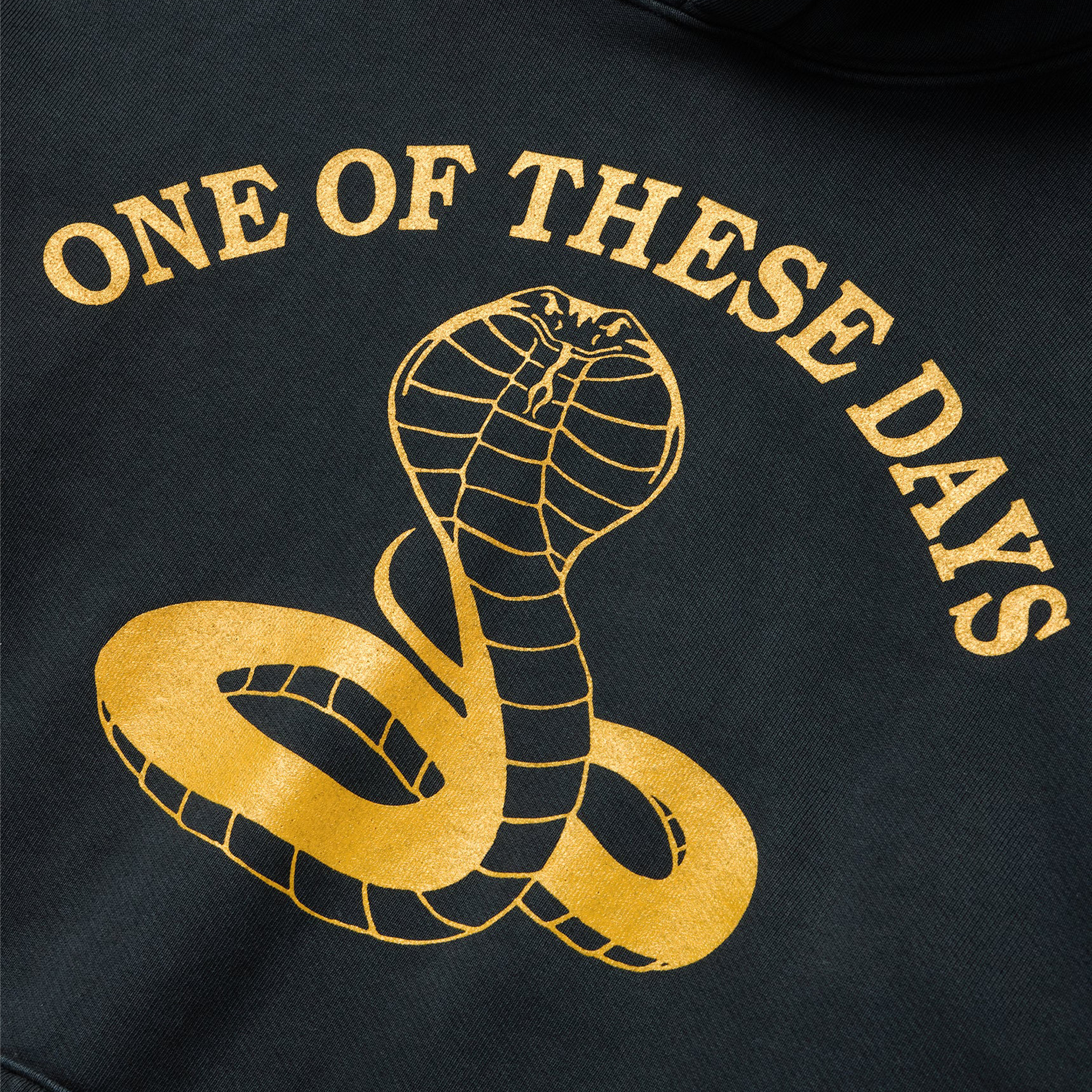 One Of These Days Cobra Hooded Sweatshirt (Washed Black) - August Shop