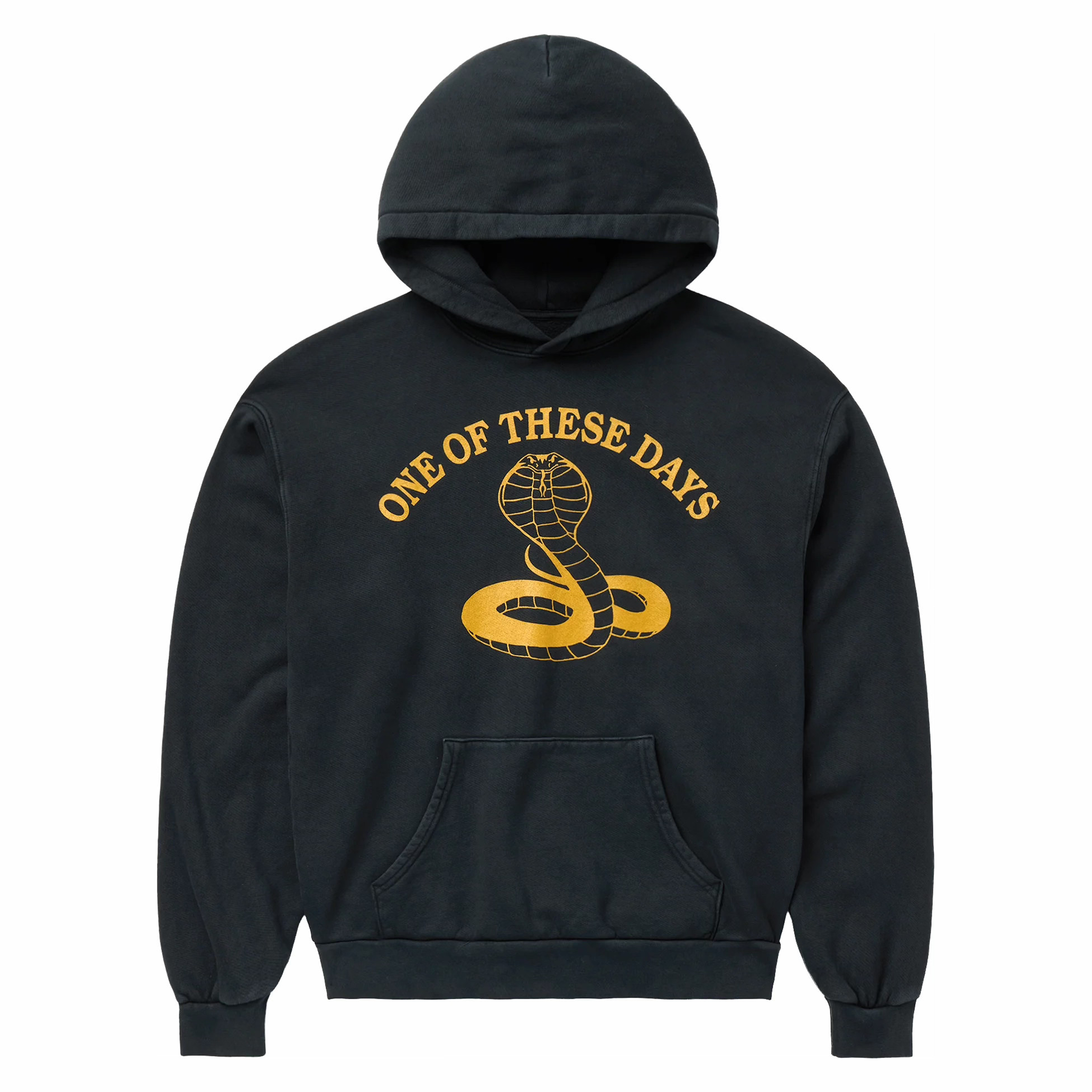 One Of These Days Cobra Hooded Sweatshirt (Washed Black) - August Shop