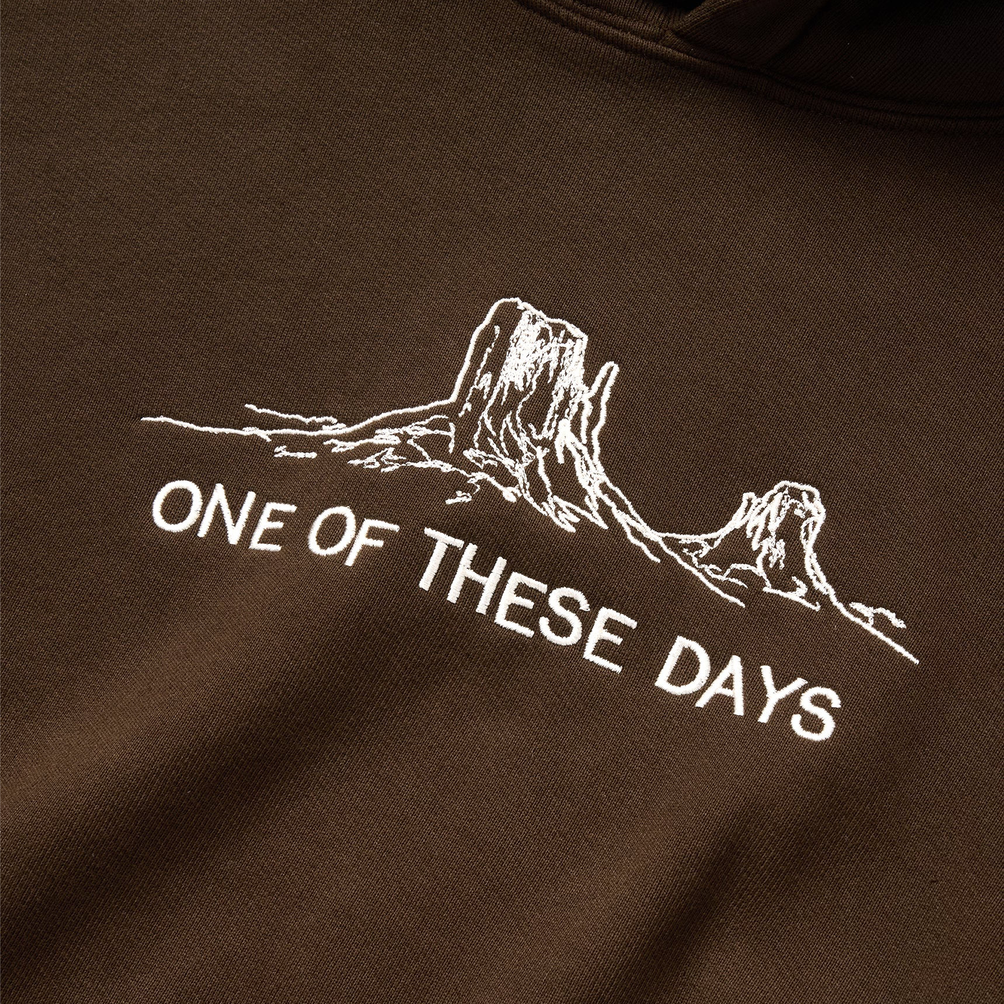 One Of These Days Follow The Road Hooded Sweatshirt (Dark Brown) - August Shop