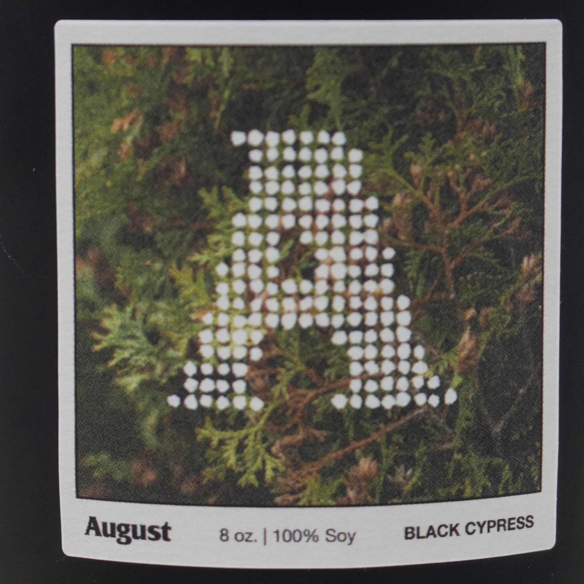 August &quot;Black Cypress &amp; Cassis” Candle - August Shop